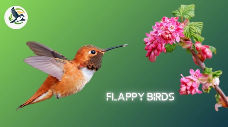 Flappy Birds