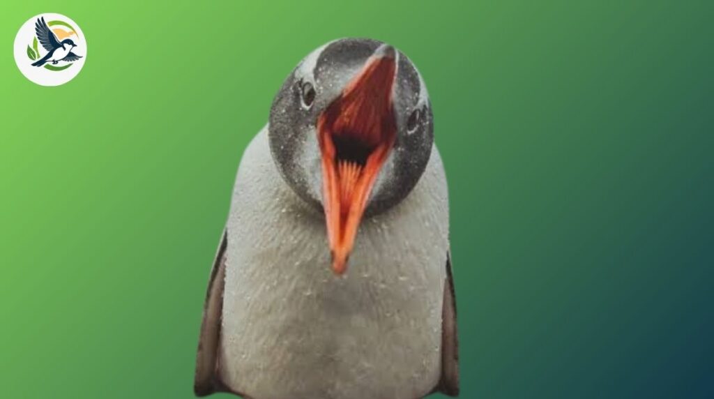 Do Penguins Have Teeth