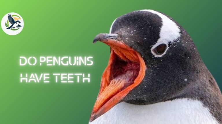 Do Penguins Have Teeth