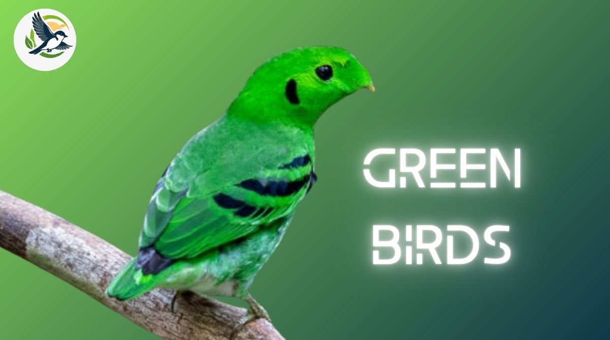 Green Birds